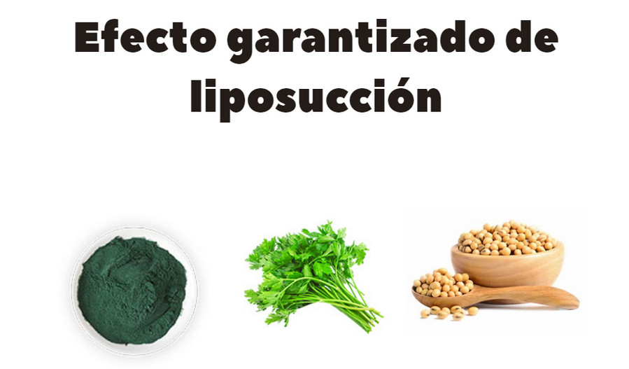 Bioslin ingredientes